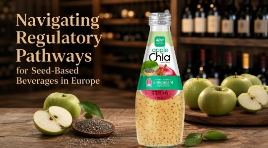 Navigating Regulatory Pathways for Seed-Based Beverages in Europe