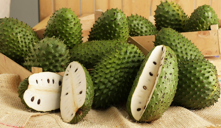 Tropical fruit Soursop