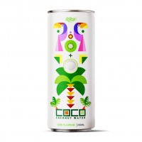 coconut_water_with_kiwi_flavour250mlcan