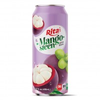 fruit_mangosteen_fruit_juice_combinations_drink_490ml_cans